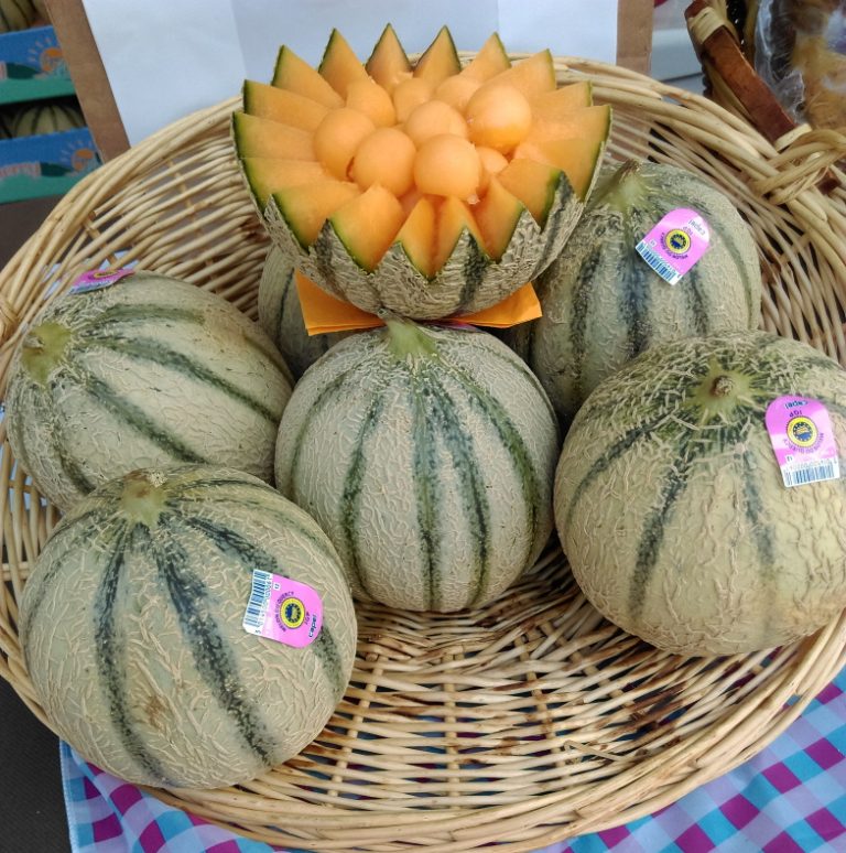 sélection de melons certifiés, d'appellation Melon du Quercy