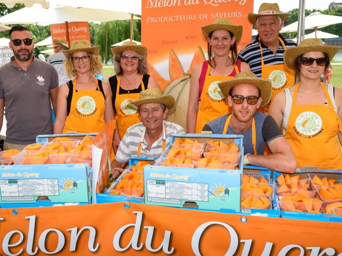 des producteurs de melons IGP Melon du Quercy